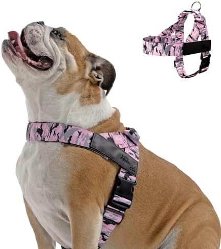 Dog Friendly Co. Dog Harness for Small Dogs by DogFriendly