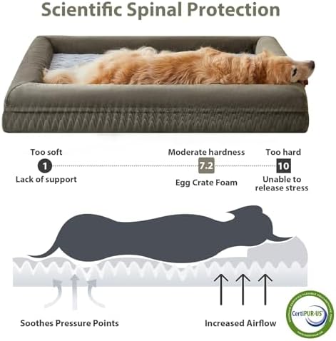 WNPETHOME XXL Extra Large Orthopedic - Image 3