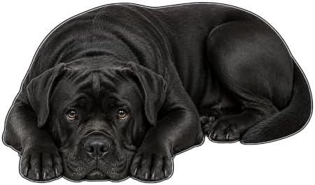 3D Realistic Dog Shaped Bath Mat & Floor Rug by MOFABIA