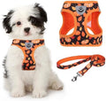 KOOLTAIL Fall Dog Harness and Leash Set by KOOLTAIL