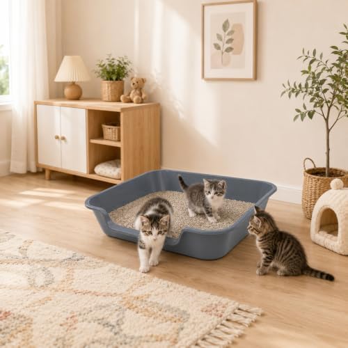 Extra Large Low Entry ABS Cat Litter Box, 2 Pack - Image 5