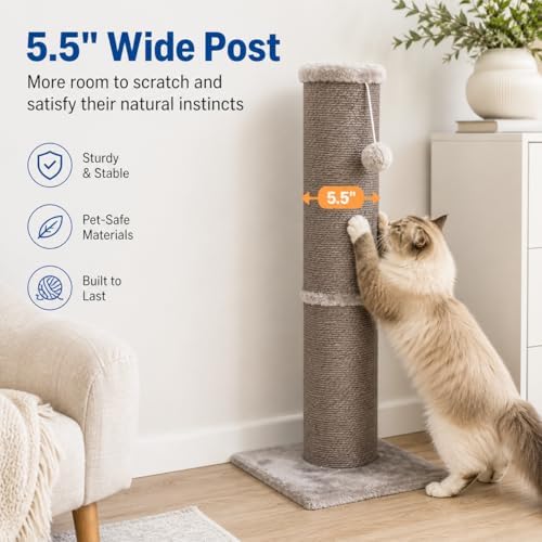Cat Scratching Post with 5.5 Inch Diameter Sisal Post, 32 Inch - Image 3