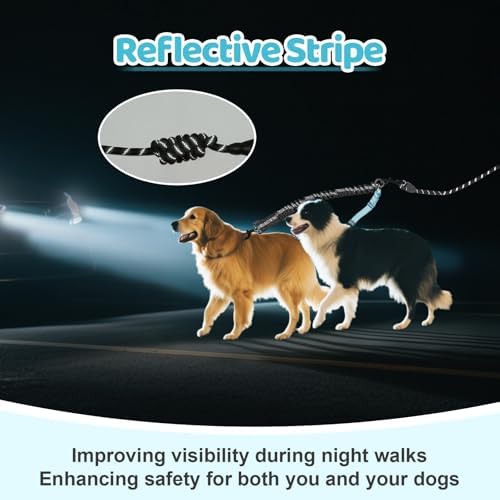 Double Dog Leash - Image 6