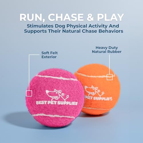 Best Pet Supplies Interactive Squeaky Dog Chew Toy, Ideal Dog Toys - Image 4
