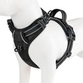PHOEPET No Pull Dog Harnesses for Small Puppies Reflective Adjustable by PHOEPET