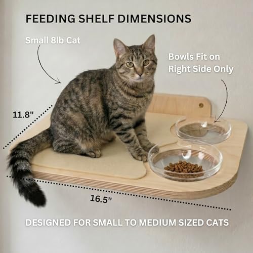 INICIO Cat Shelves - Image 3