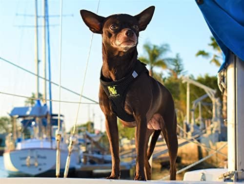 EcoBark Step in Dog Harness - Image 4