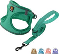 BELLA & PAL Step in Puppy Harness and Leash Set by BELLAPAL
