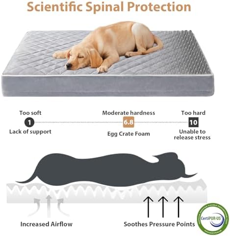 WNPETHOME Orthopedic Waterproof Large Sized Senior Dogs Bed - Image 3