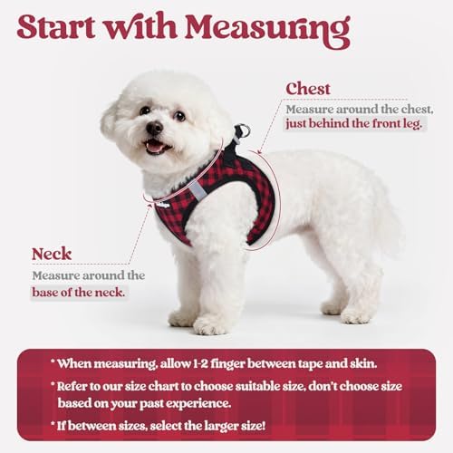 rabbitgoo Dog Harness Small Sized and Leash Set, Step-in Puppy Pet Vest - Image 2