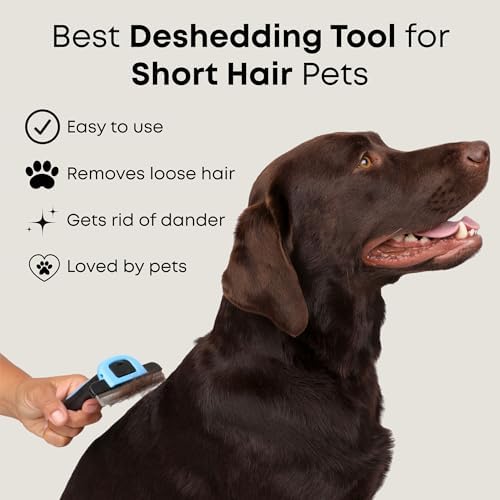 Short Hair Deshedding Brush for Dogs & Cats - Image 3