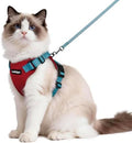 rabbitgoo Cat Harness and Leash Set, Escape Proof Vest by rabbitgoo