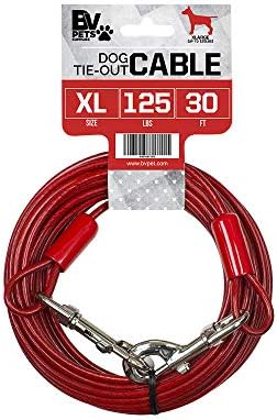 BV Dog Tie Out Cable 30 Feet by BV