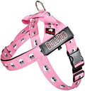 BULLHUG Adjustable Dog Harness– No Pull, No Choke – by BULLHUG