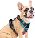 Eagloo Dog Harness No Pull for Medium Dogs, Easy On & Off by GoExplorewithEagloo