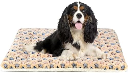 Mora Pets Dog Crate Pad Bed Ultra Soft Pet Mat Star Print Brown 29 x21 Inch by MoraPets