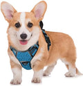 BARKBAY No Pull Dog Harness Large Step in Reflective Dog Harness by BARKBAY