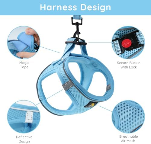 BELLA & PAL Step in Puppy Harness and Leash Set - Image 2