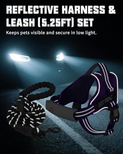 AUROTH Dog Harness and Leash Set - Image 4