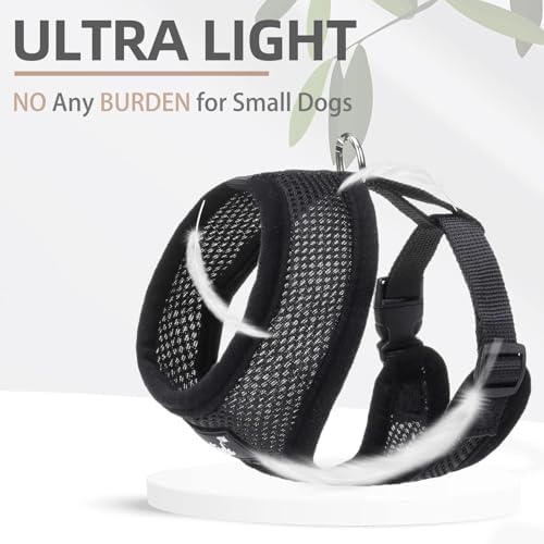 PUPTECK Small Dog Harness and Leash Set No Pull - Image 5