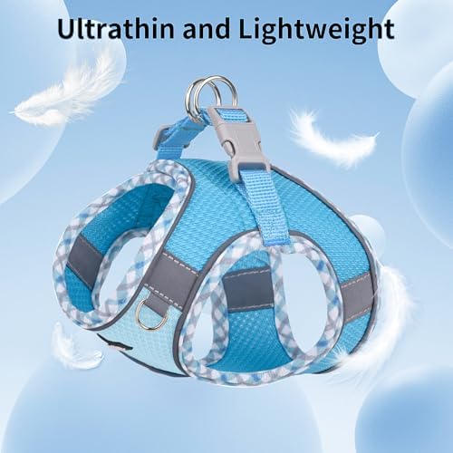 AIITLE Medium Dog Harness and Leash Set - Image 4