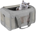 Cat Carrying Case by home