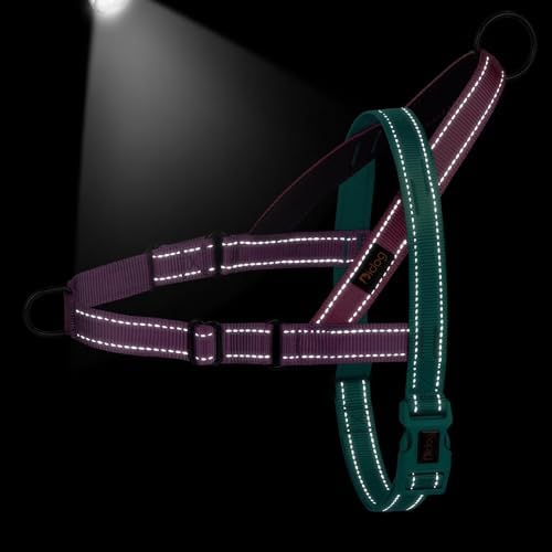 Didog No Pull Dog Harness for Medium Dogs, Soft Padded Handle, Dark Green - Image 4