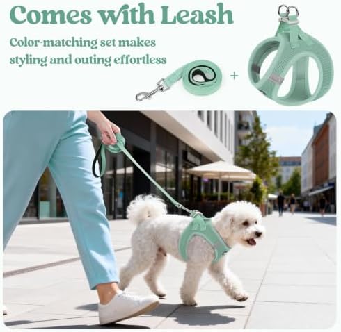 rabbitgoo Dog Harness Small Sized and Leash Set, Step-in Puppy Pet Vest - Image 6