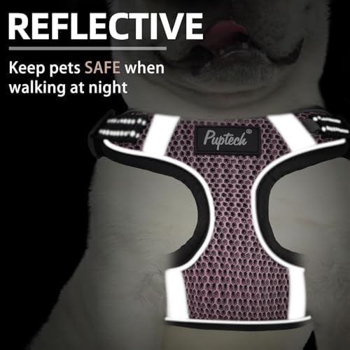 PUPTECK Dog Harness and Leash Set Small Sized, Step in No Pull Adjustable Puppy - Image 4