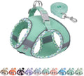 AIITLE Teacup Puppy Harness and Leash Set Escape-Proof, Turquoise S by AIITLE-FORPETSBETTERLIFE