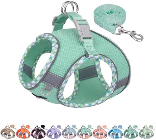 AIITLE Teacup Puppy Harness and Leash Set Escape-Proof, Turquoise S by AIITLE-FORPETSBETTERLIFE