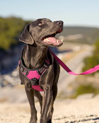 Joytale No Pull Dog Harness for Large Dogs, Front Clip, Hot Pink - Image 6