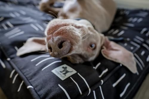 Molly Mutt Small Dog Bed Cover - Image 3