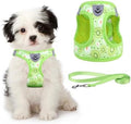 KOOLTAIL Dog Harness and Leash Set by KOOLTAIL
