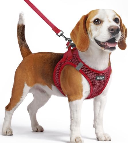 Eagloo Small Dog Harness and Leash Set, Step in Medium Small Puppy Pet Vest by GoExplorewithEagloo