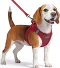 Eagloo Small Dog Harness and Leash Set, Step in Medium Small Puppy Pet Vest by GoExplorewithEagloo
