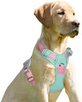 BARKBAY Dog Harness No Pull for Medium Sized Dog Front Back Clips, Dog Vest by BARKBAY