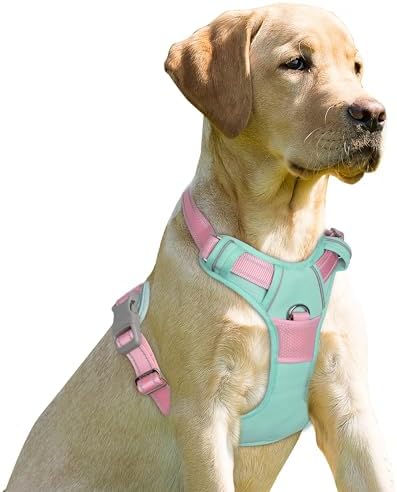 BARKBAY Dog Harness No Pull for Medium Sized Dog Front Back Clips, Dog Vest by BARKBAY