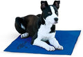K&H Dog Cooling Mat, Coolin' Pet Pad, Large 36x20in Chill Blue by KHPetProducts