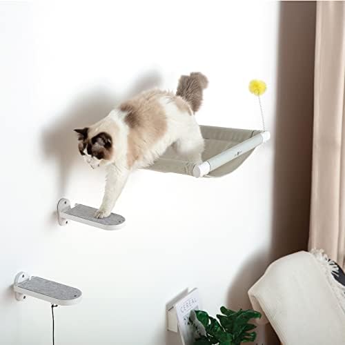 SVD.PET - Image 3