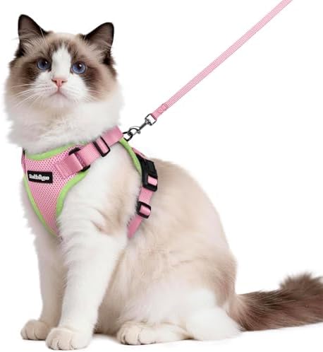 rabbitgoo Cat Harness and Leash Set, Escape Proof Vest by rabbitgoo