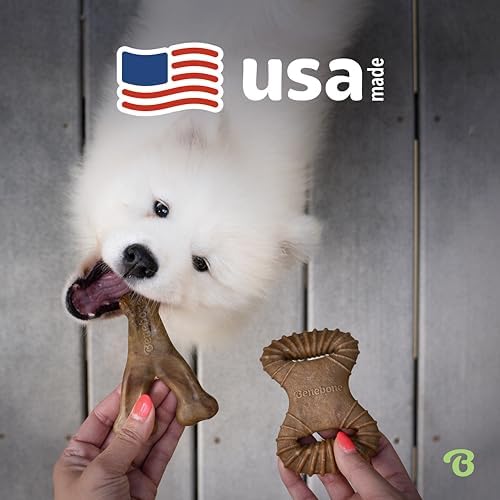 Benebone Tiny 2-Pack Dog Chew Toys, Real Bacon - Image 5