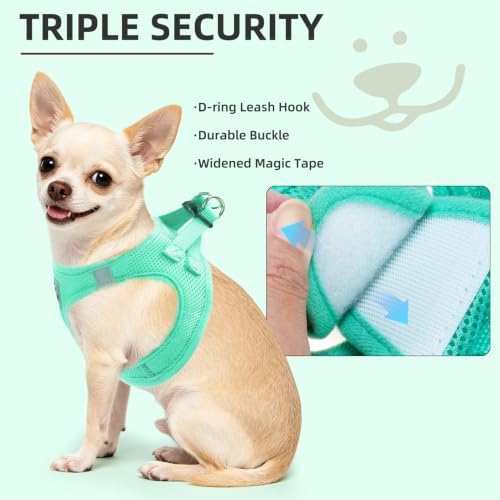 PUPTECK Adjustable Dog Harness Collar and Leash Set Step in No Pull Pet Harness - Image 5