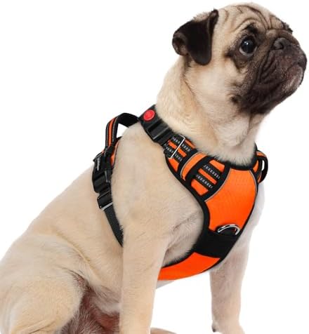 rabbitgoo Dog Harness Small Sized, No Pull 3 Buckles Easy On & Off by rabbitgoo
