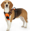 Eagloo Dog Harness for Small Dogs, No Pull Pet Vest by GoExplorewithEagloo