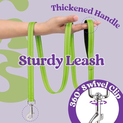 rabbitgoo Dog Harness Small Sized and Leash Set, Step in Soft Vest - Image 7
