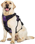 AUROTH Escape Proof Dog Harness by AurothPets