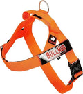 BULLHUG Adjustable Dog Harness– No Pull, No Choke – by BULLHUG