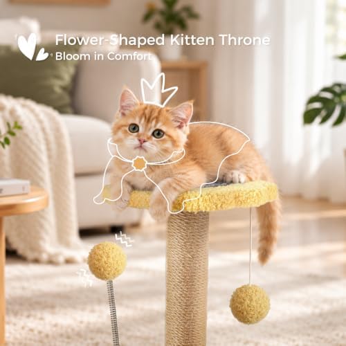 Small Cat Scratching Post with Perch Kitten Toys - Image 5