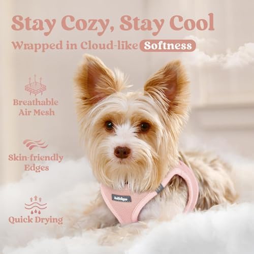 rabbitgoo Step-in Small Dog Harness, Puppy Vest - Image 3